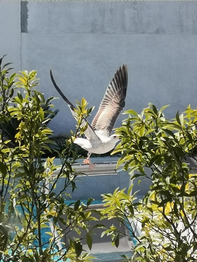 Villa Omnia Zadar Eksteriør billede